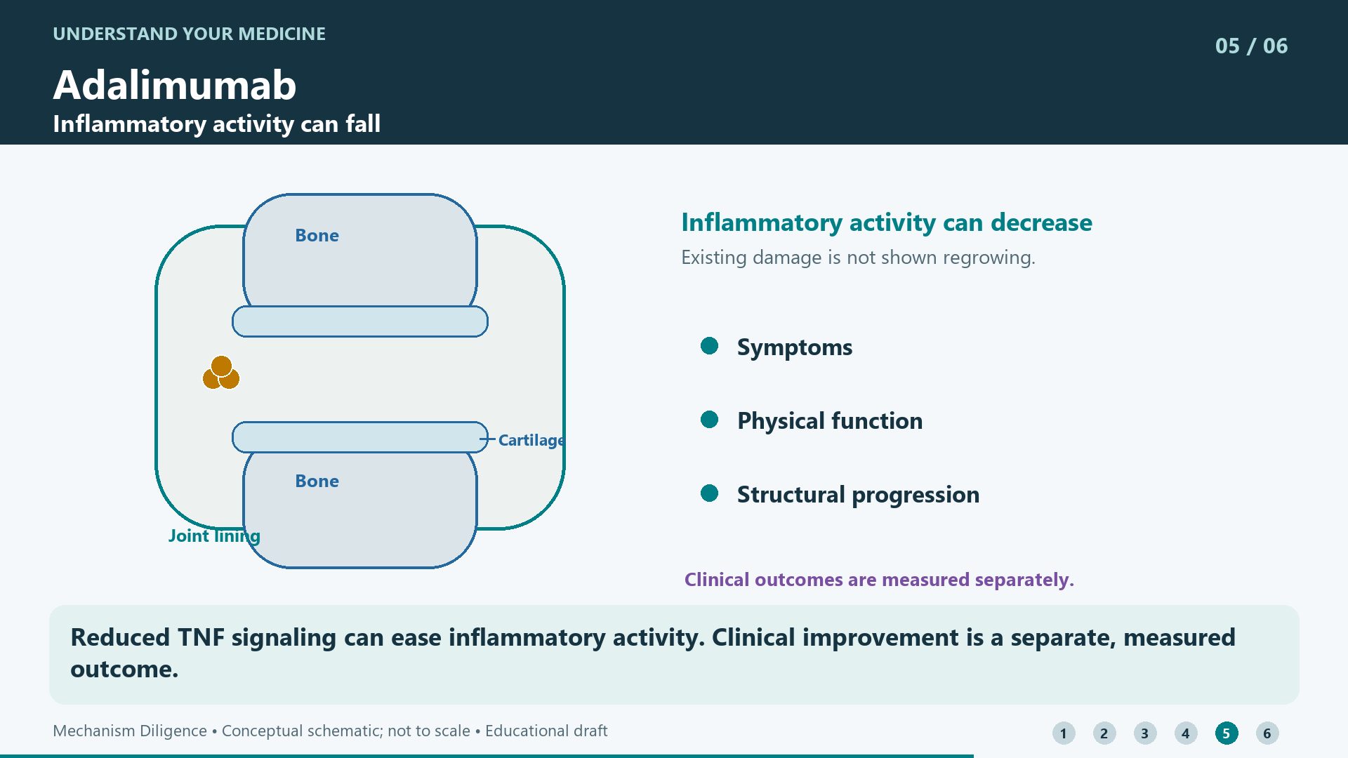 Reduced TNF signaling can ease inflammatory activity. Clinical improvement is a separate, measured outcome.