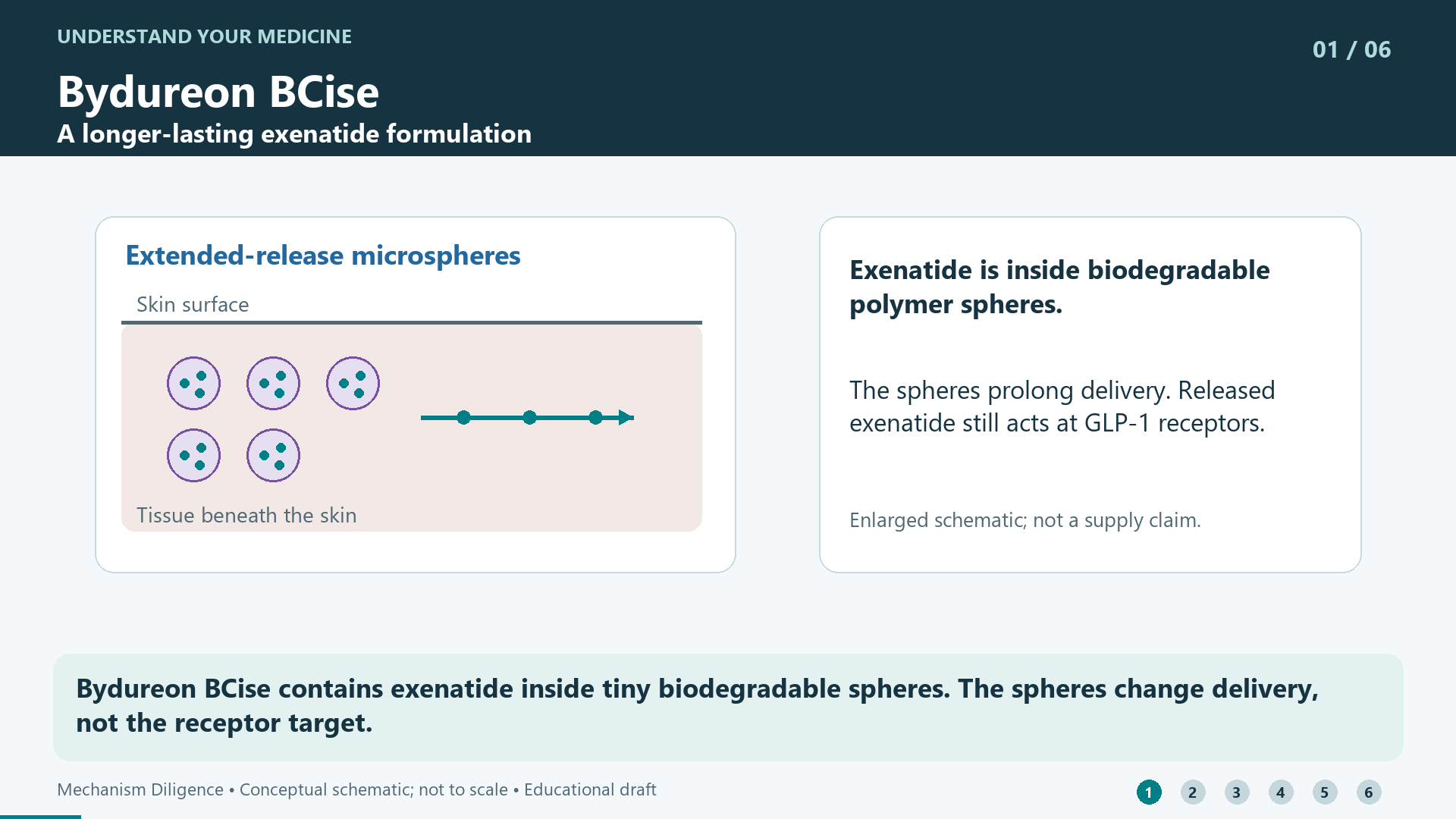 Bydureon BCise contains exenatide inside tiny biodegradable spheres. The spheres change delivery, not the receptor target.