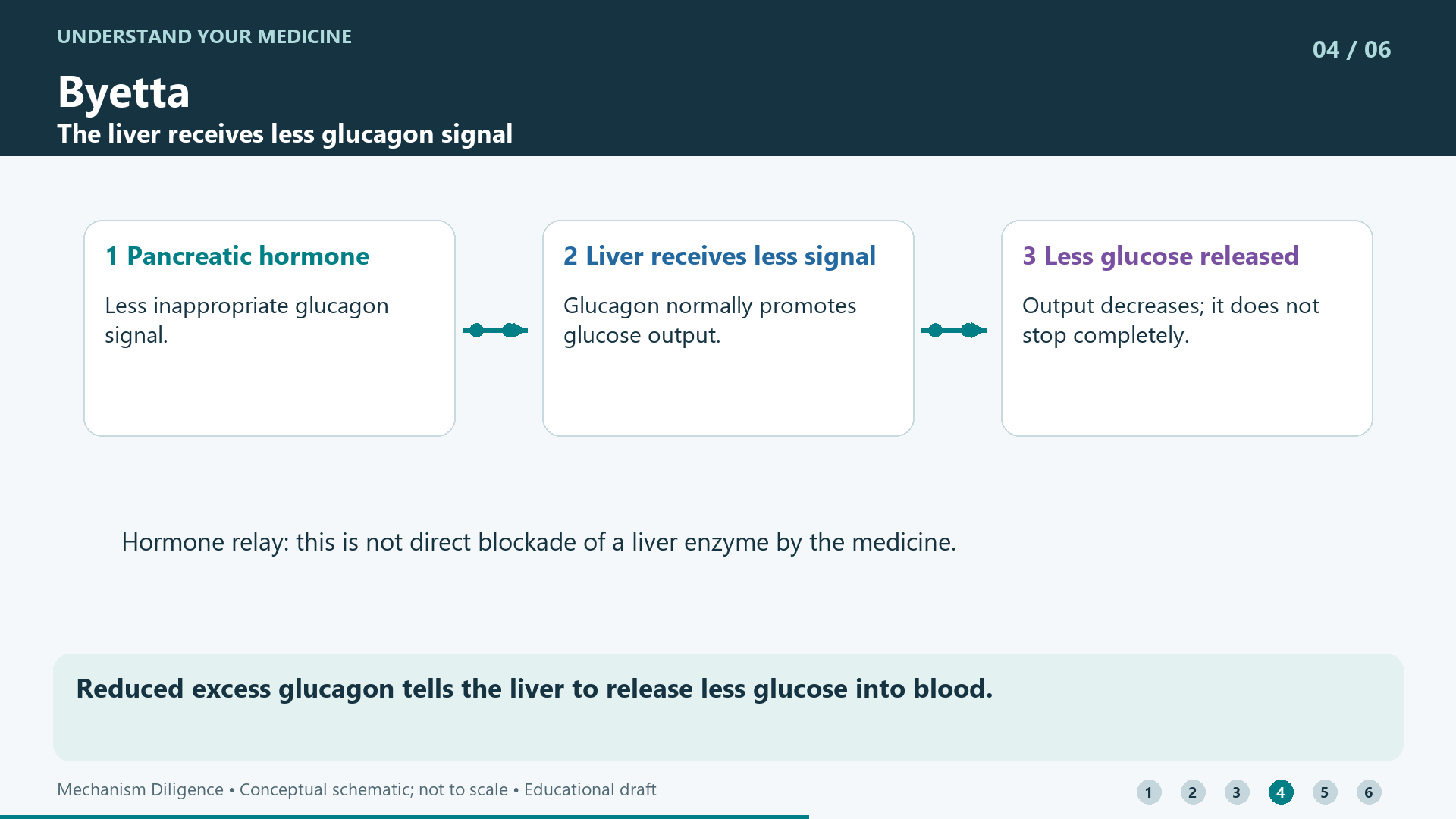 Reduced excess glucagon tells the liver to release less glucose into blood.