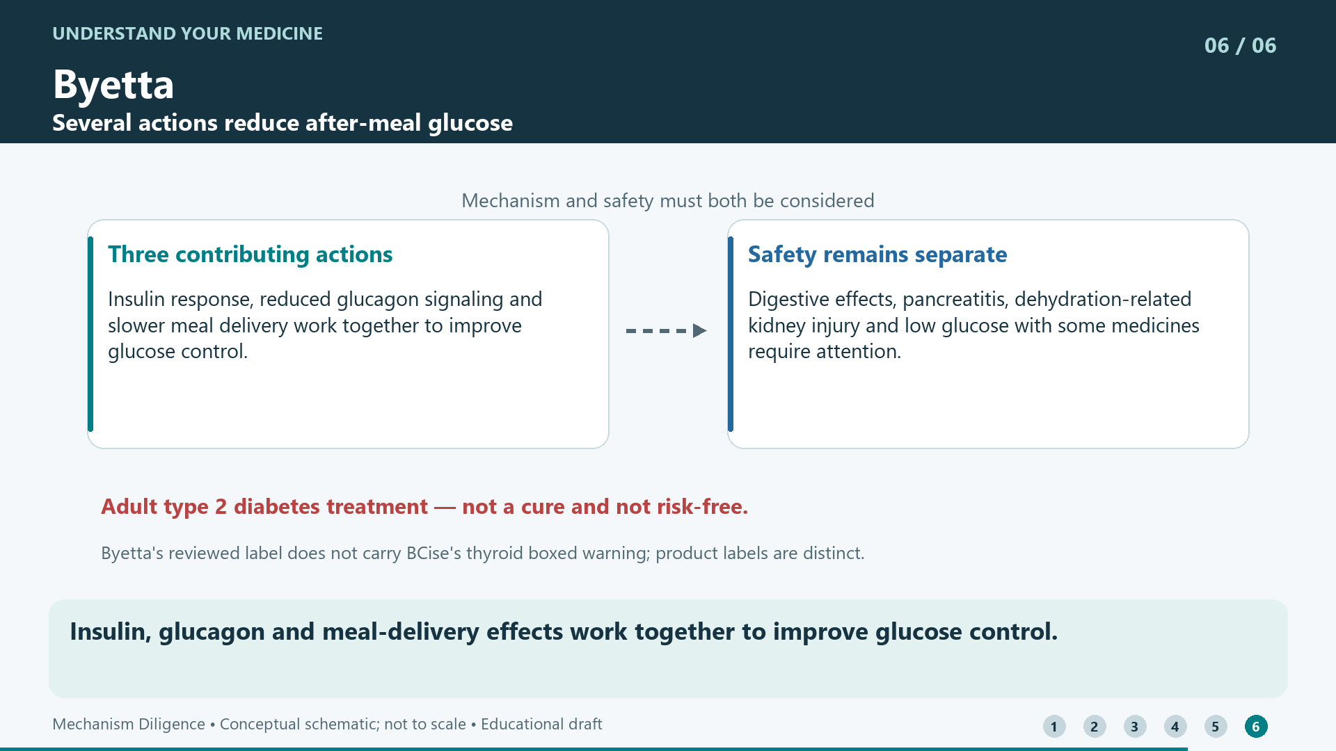 Insulin, glucagon and meal-delivery effects work together to improve glucose control.