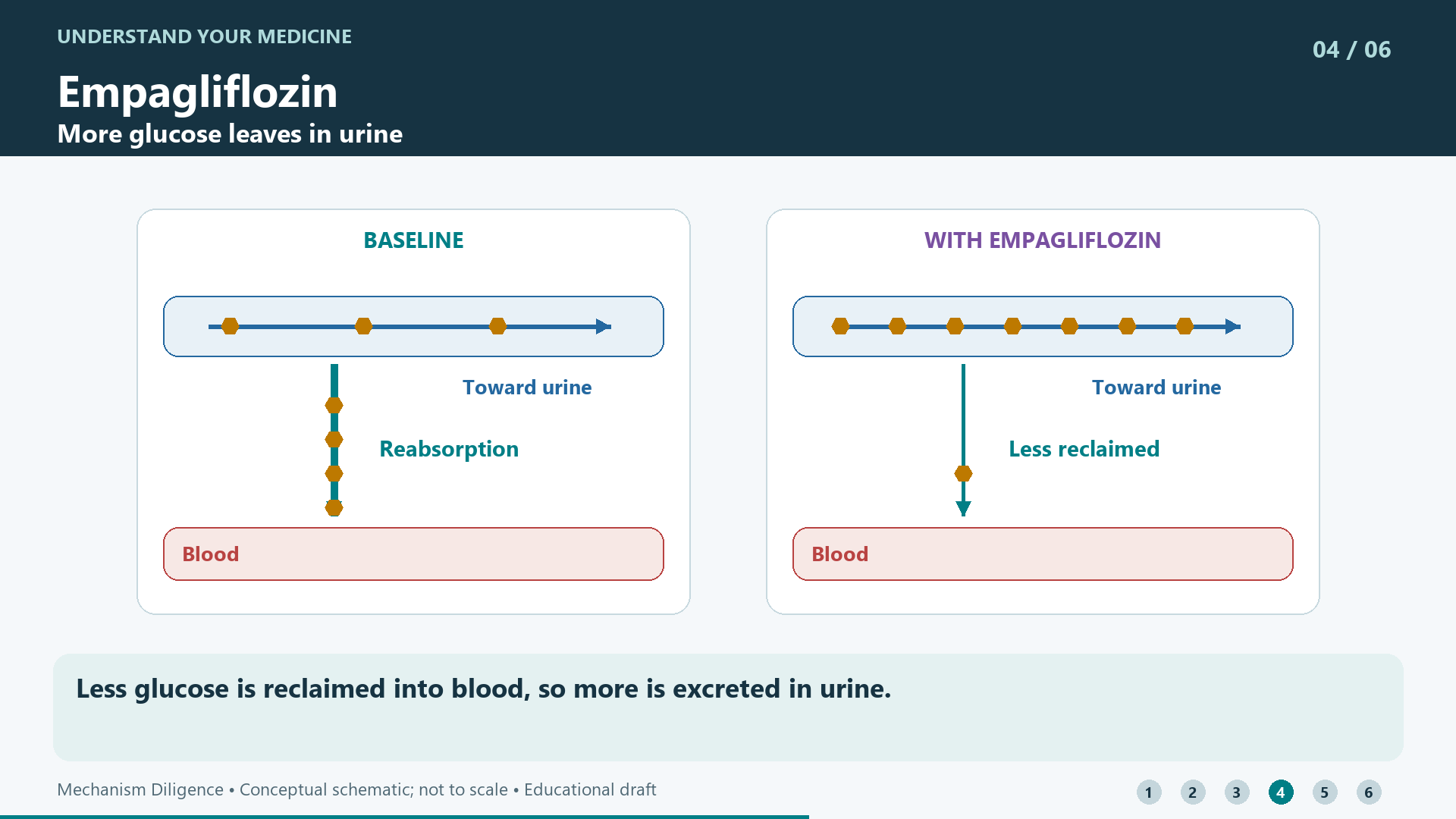 Less glucose is reclaimed into blood, so more is excreted in urine.