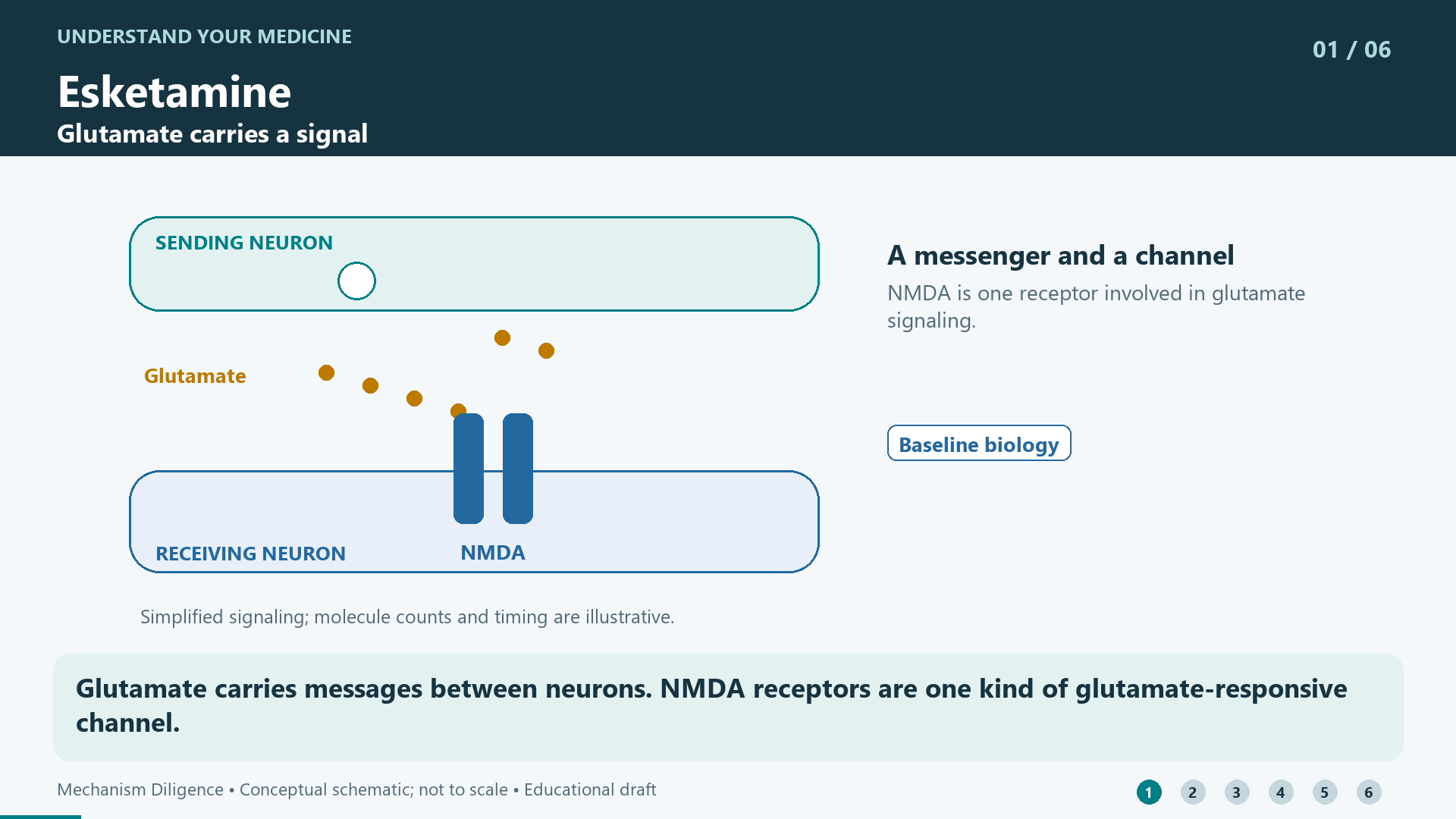 Glutamate carries messages between neurons. NMDA receptors are one kind of glutamate-responsive channel.