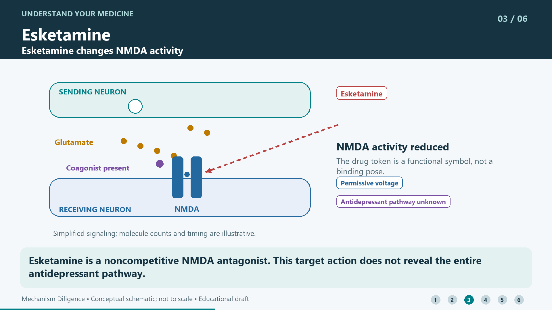 Esketamine is a noncompetitive NMDA antagonist. This target action does not reveal the entire antidepressant pathway.