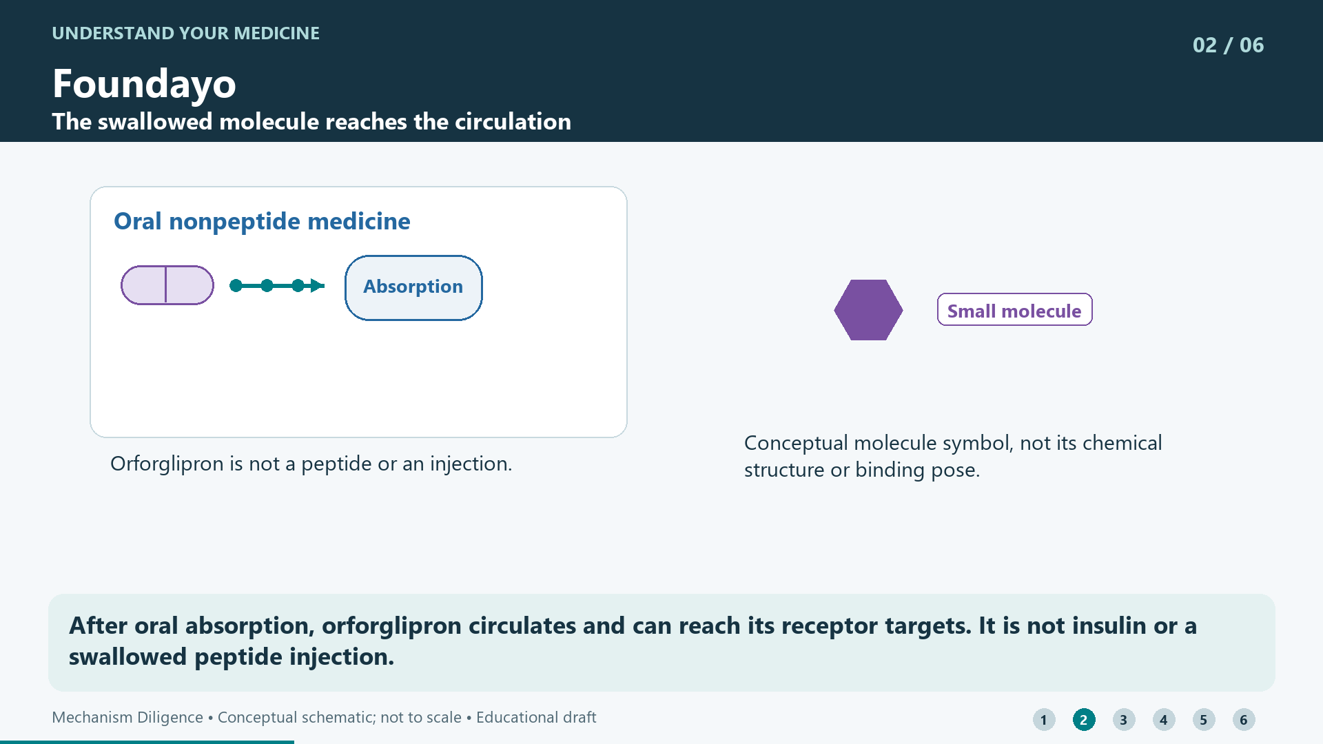 After oral absorption, orforglipron circulates and can reach its receptor targets. It is not insulin or a swallowed peptide injection.