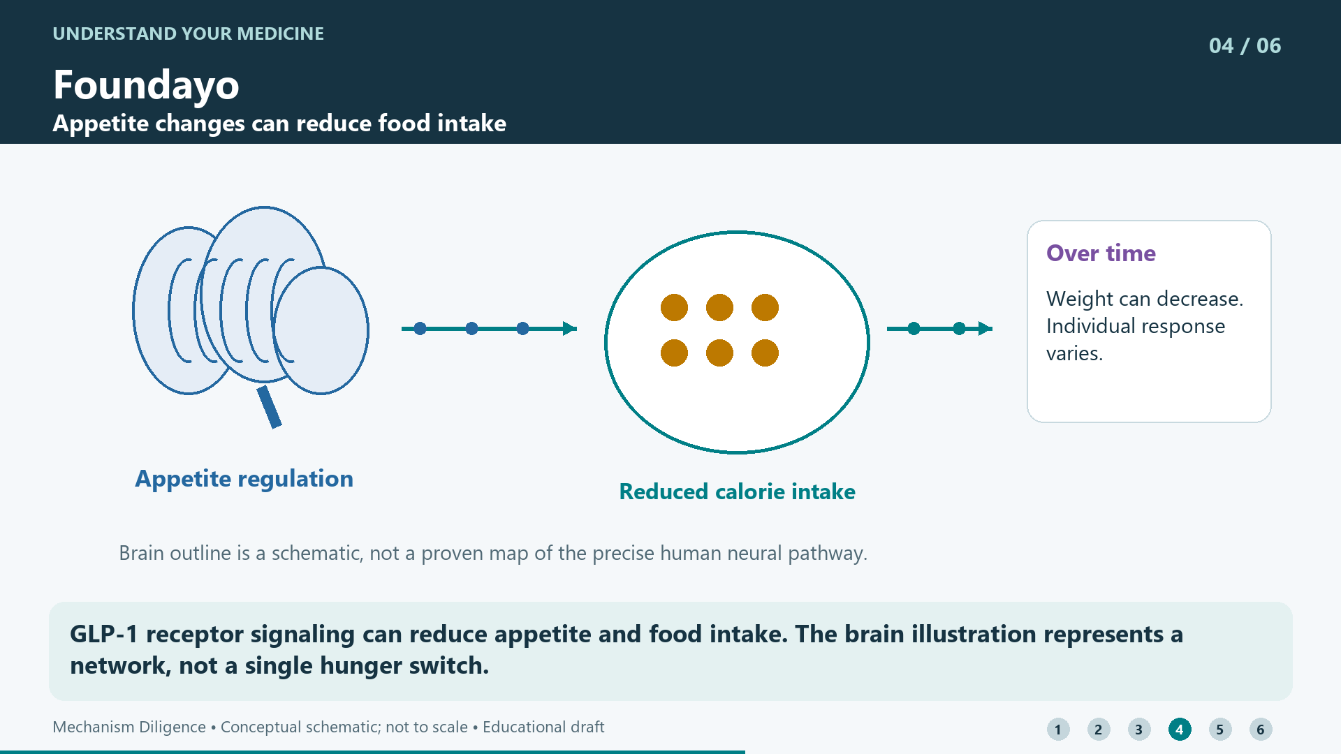 GLP-1 receptor signaling can reduce appetite and food intake. The brain illustration represents a network, not a single hunger switch.
