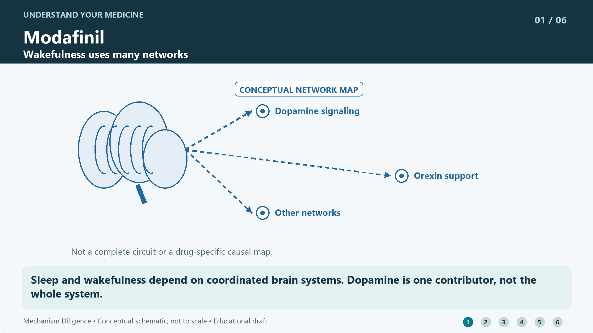 Modafinil mechanism: Sleep and wakefulness depend on coordinated brain systems. Dopamine is one contributor, not the whole system.