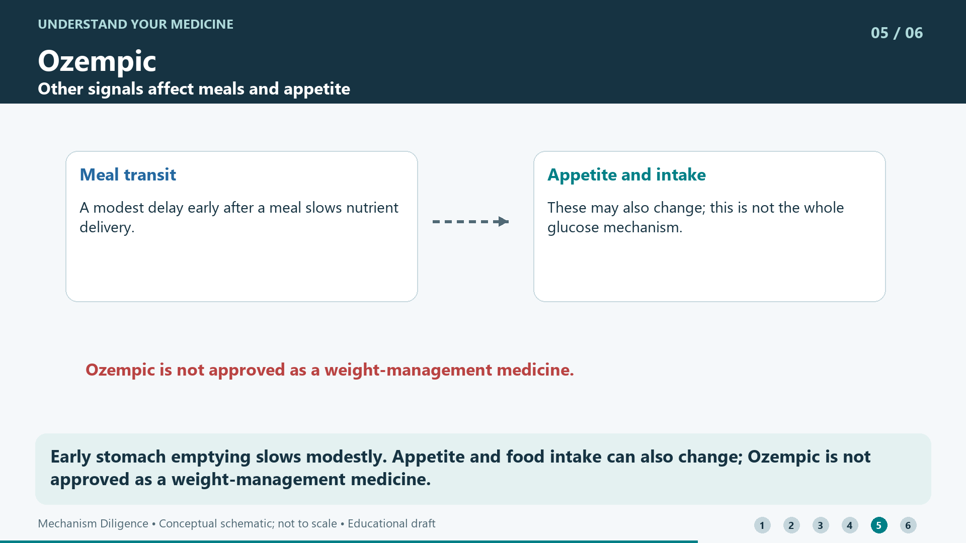Early stomach emptying slows modestly. Appetite and food intake can also change; Ozempic is not approved as a weight-management medicine.
