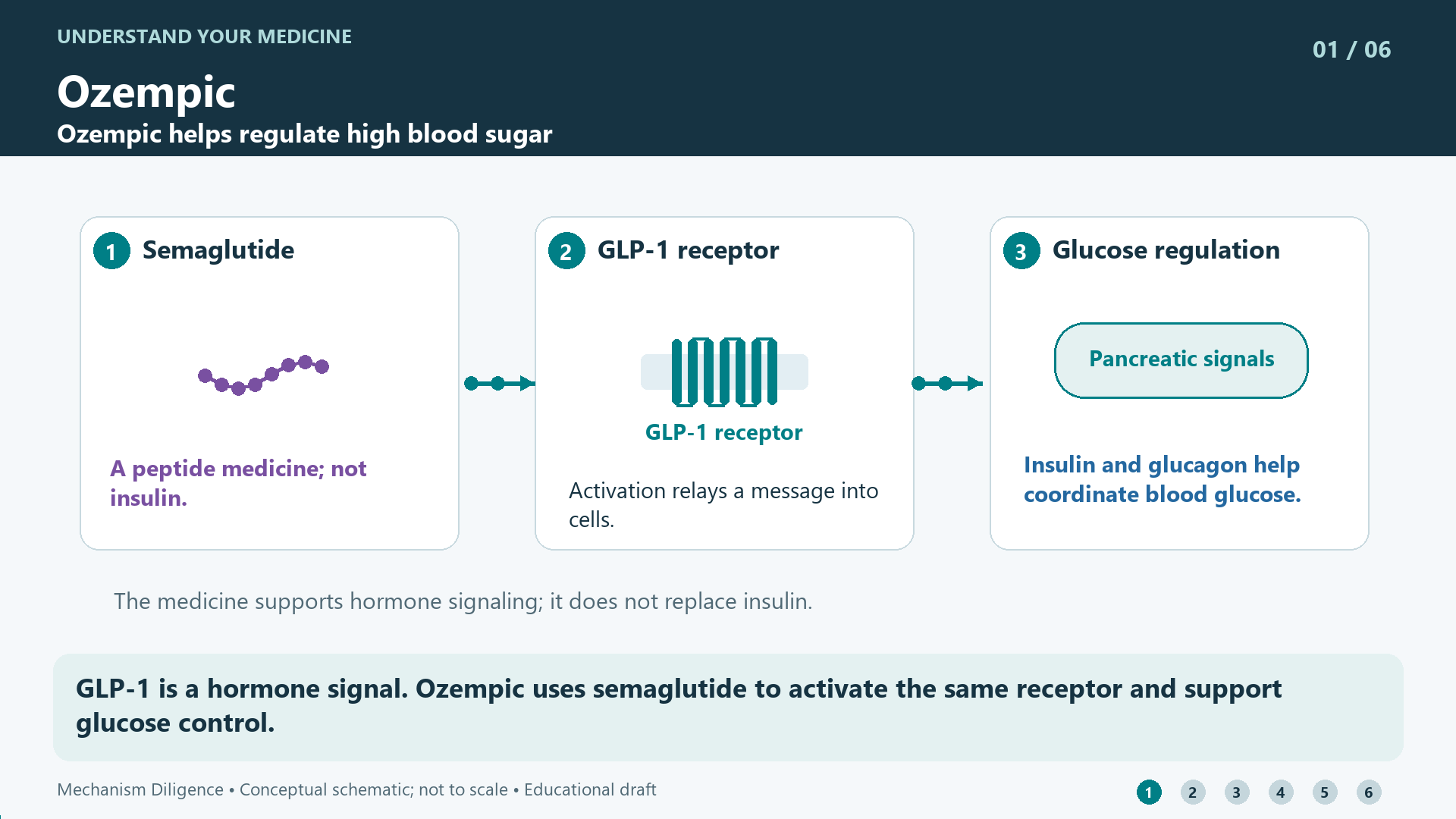 Ozempic mechanism: GLP-1 is a hormone signal. Ozempic uses semaglutide to activate the same receptor and support glucose control.