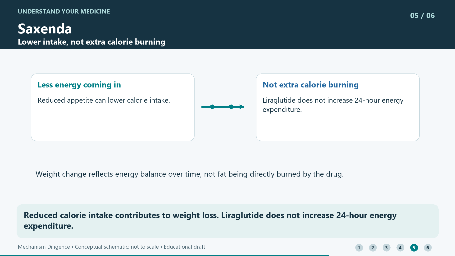 Reduced calorie intake contributes to weight loss. Liraglutide does not increase 24-hour energy expenditure.