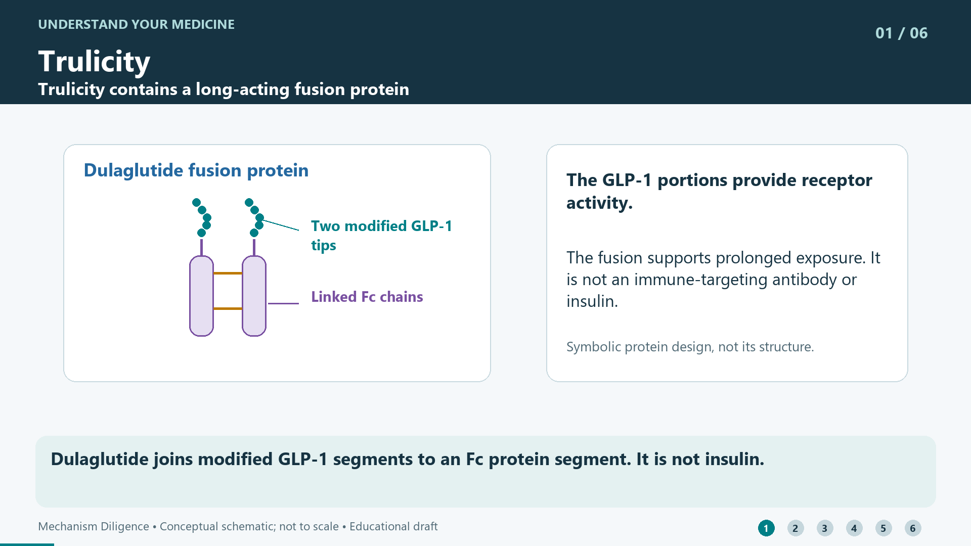 Dulaglutide joins modified GLP-1 segments to an Fc protein segment. It is not insulin.