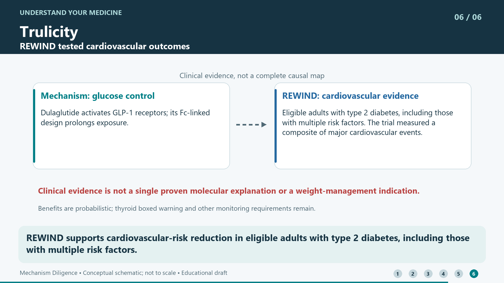 REWIND supports cardiovascular-risk reduction in eligible adults with type 2 diabetes, including those with multiple risk factors.