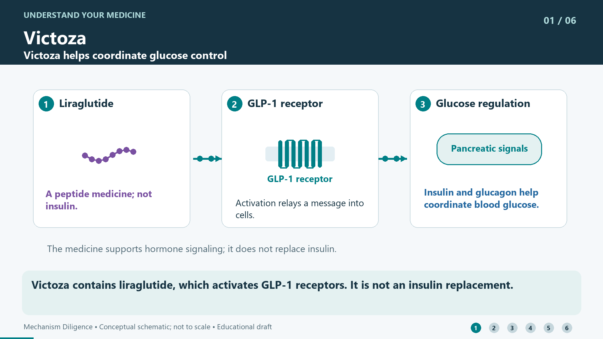 Victoza contains liraglutide, which activates GLP-1 receptors. It is not an insulin replacement.