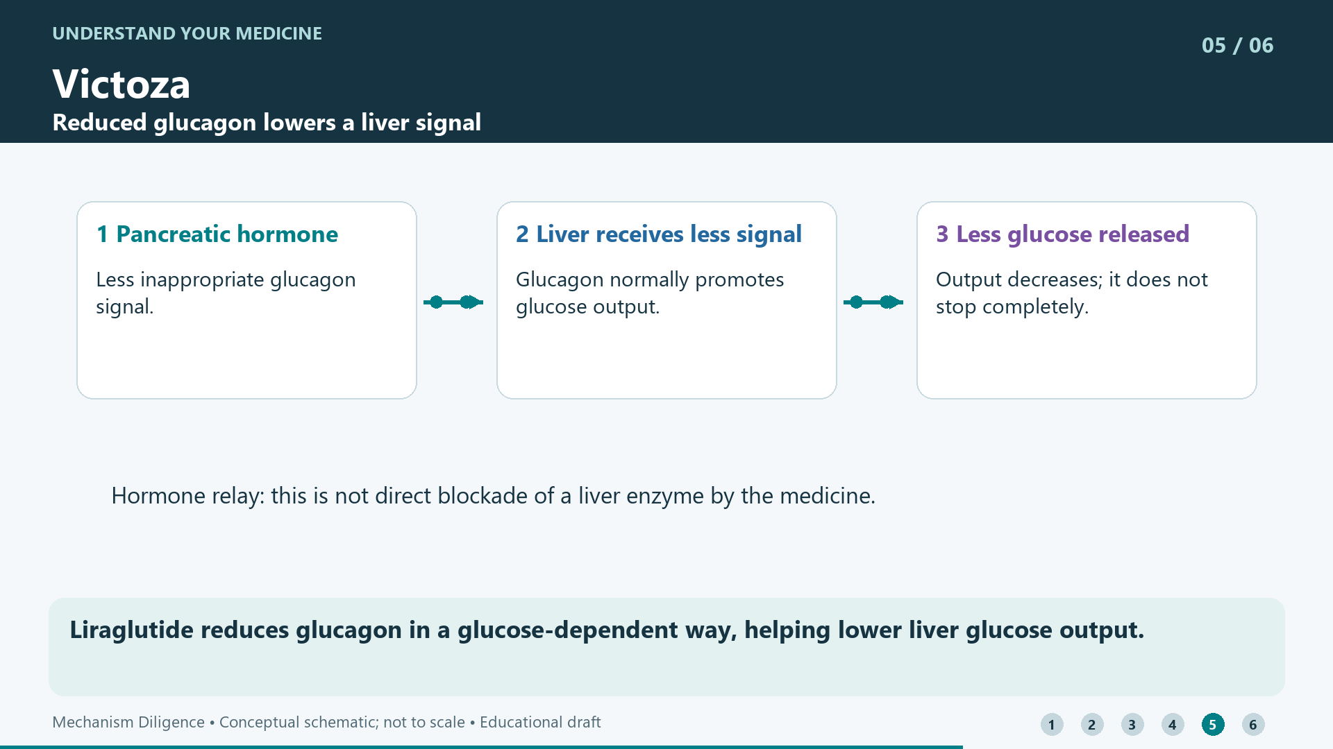 Liraglutide reduces glucagon in a glucose-dependent way, helping lower liver glucose output.