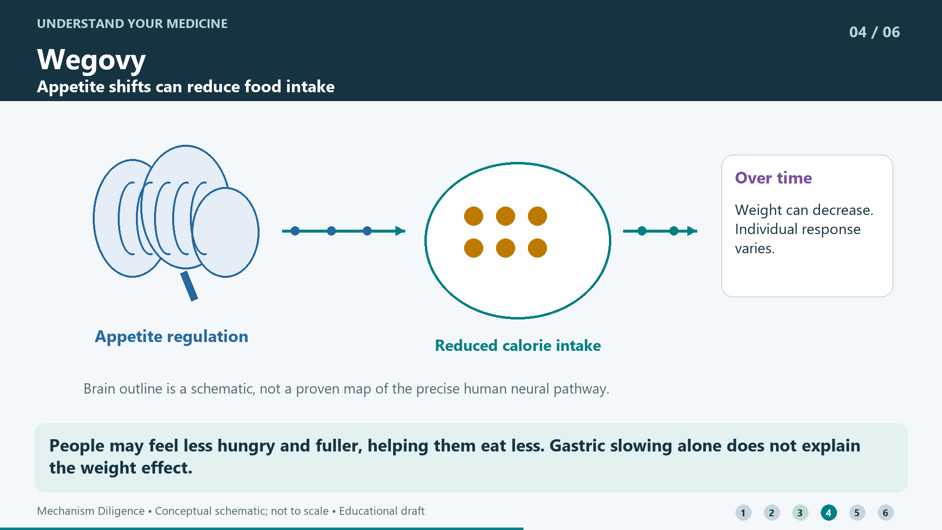People may feel less hungry and fuller, helping them eat less. Gastric slowing alone does not explain the weight effect.