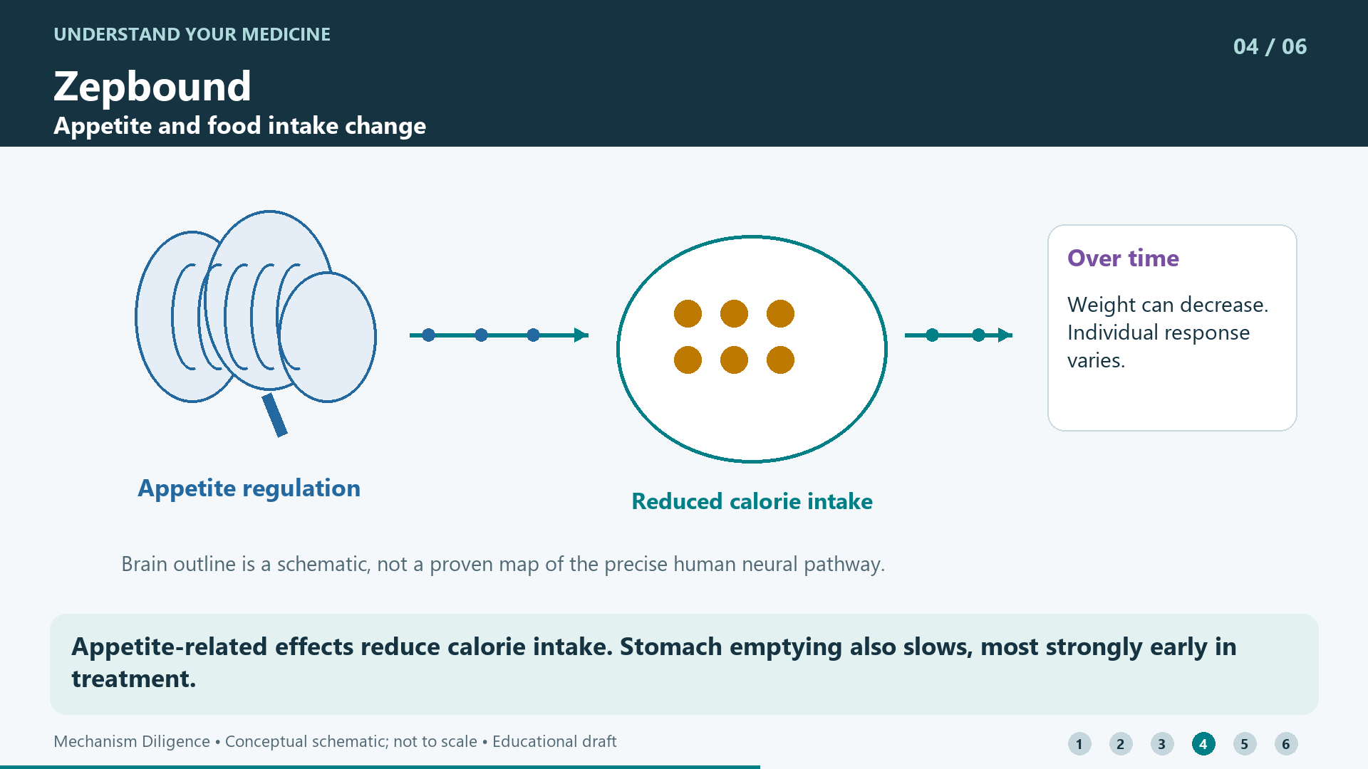 Appetite-related effects reduce calorie intake. Stomach emptying also slows, most strongly early in treatment.